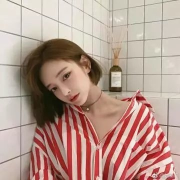 布里斯营