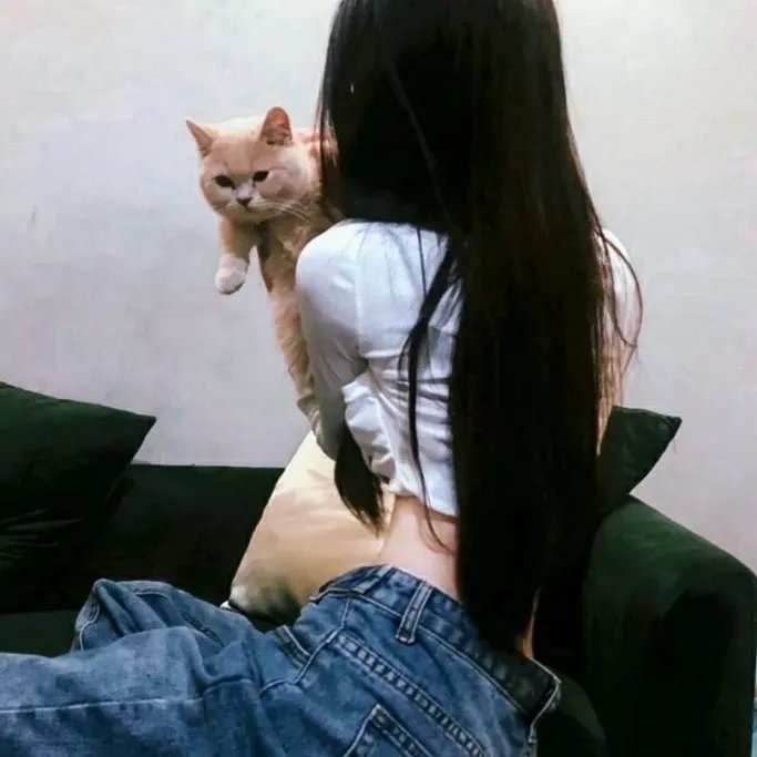 糟糕咨询